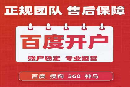 SEM托管服务，案例分享转化成果
